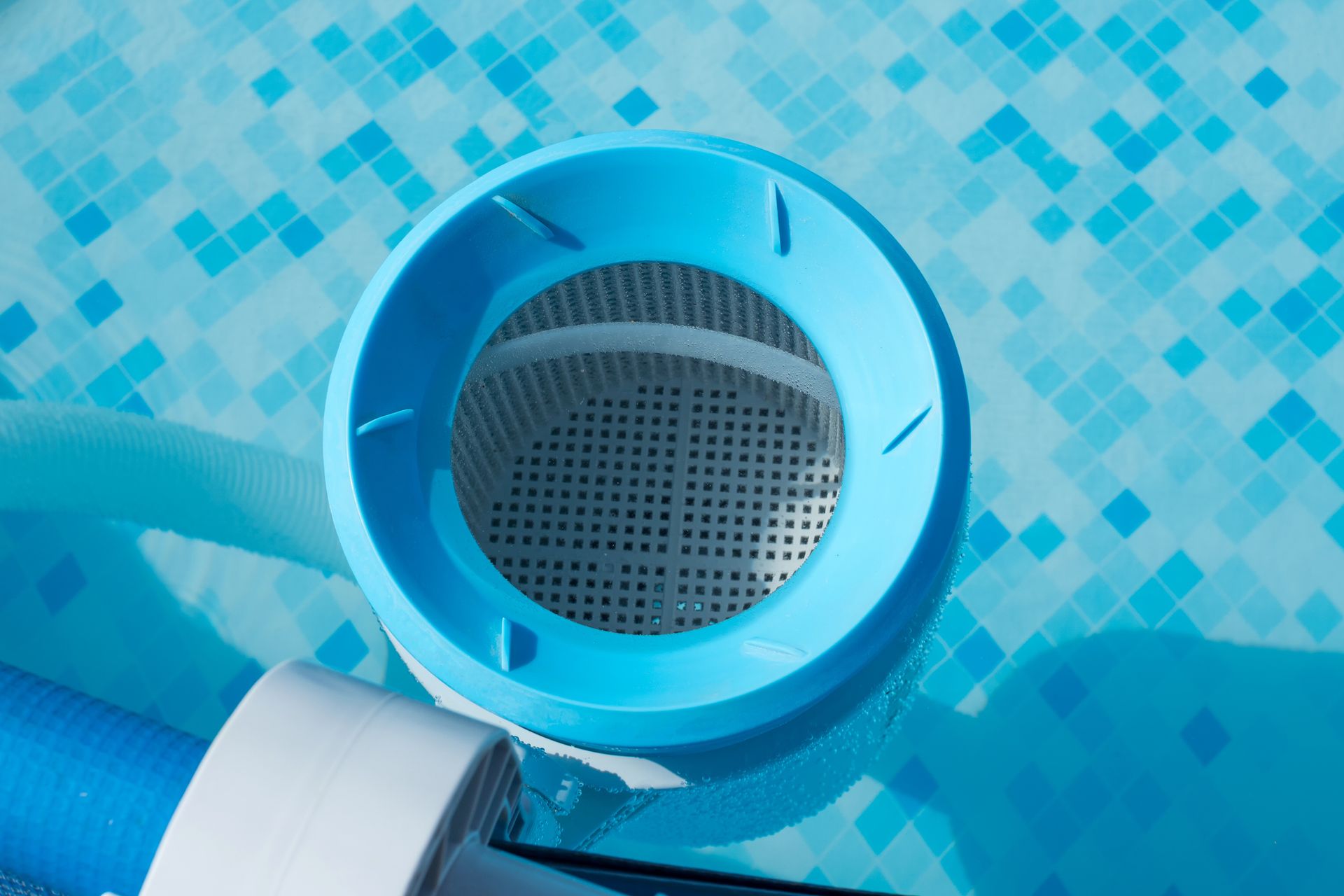 A blue filter is floating in a swimming pool.
