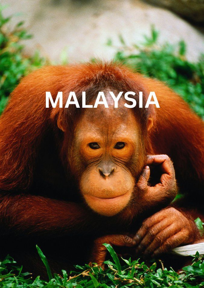 Malaysia Holidays Brochure Cover