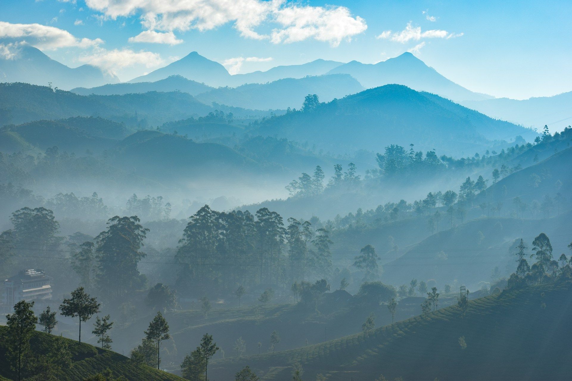 Munnar, Kerala, India