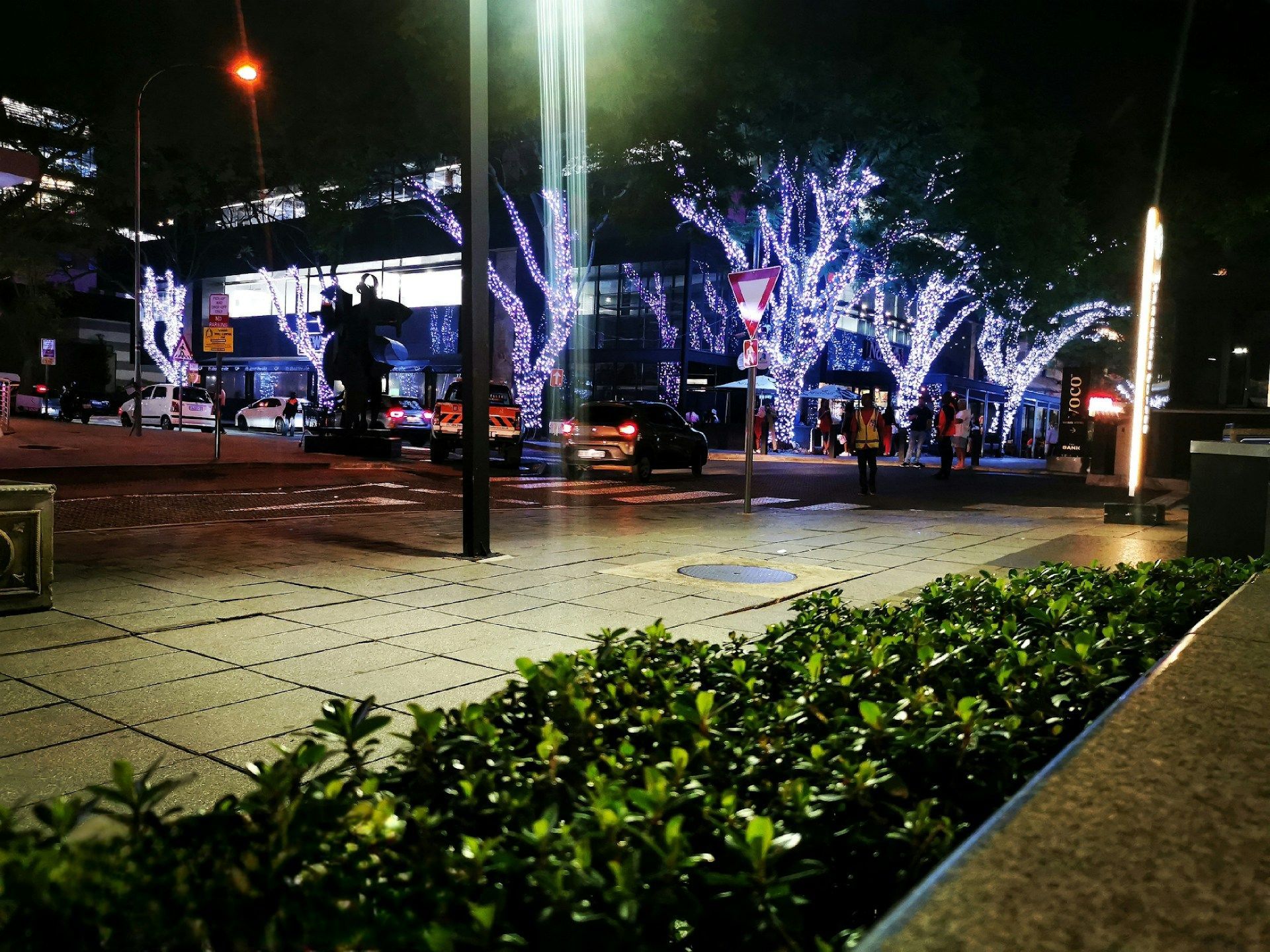 Rosebank Nightlife