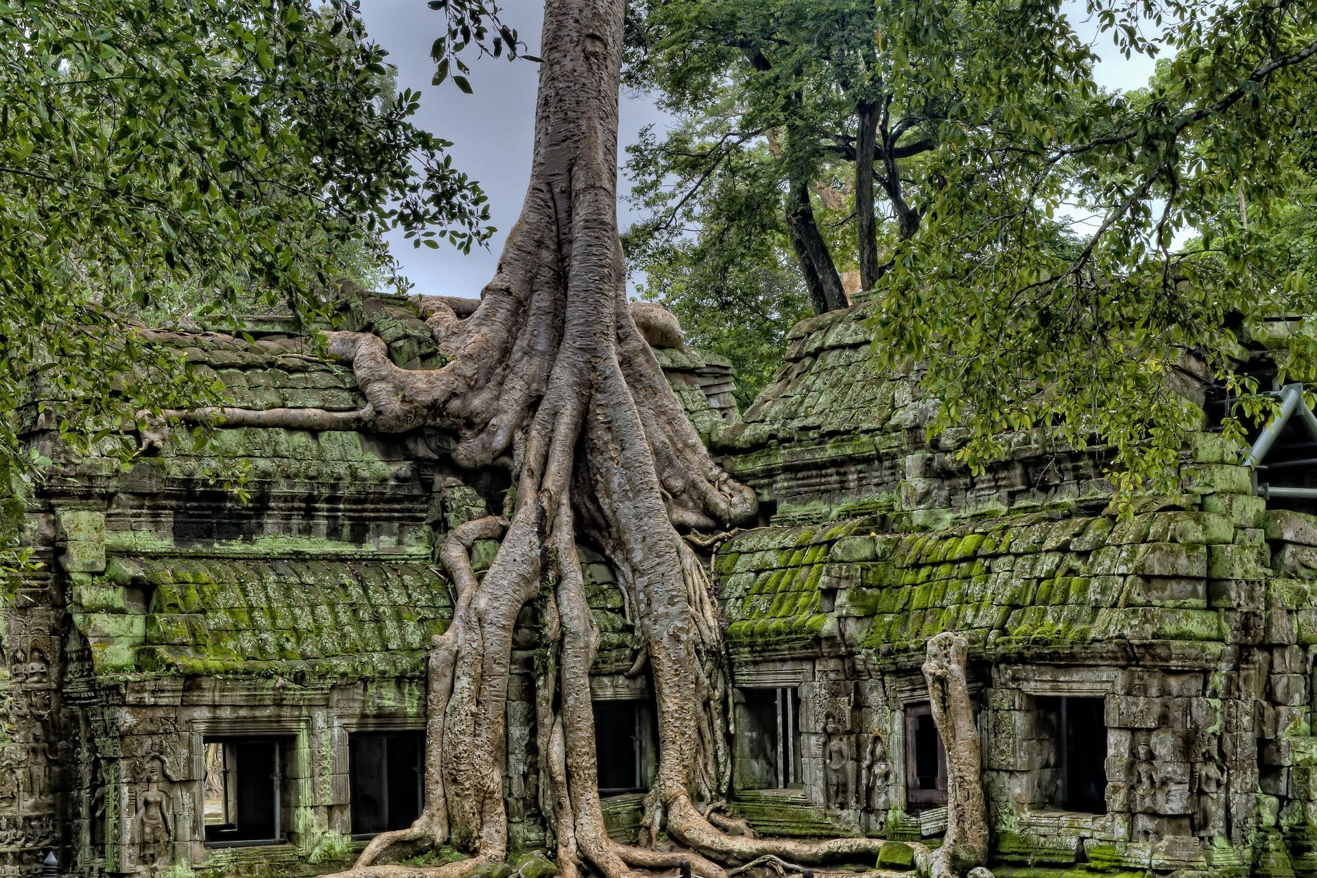 Siem Reap, Angkor Wat Temple, Cambodia