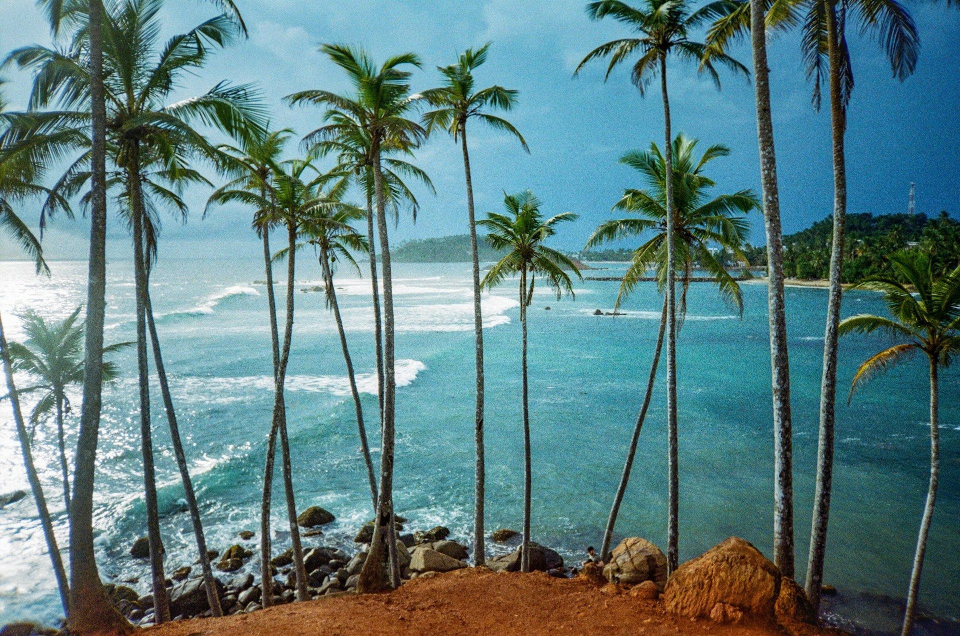 Mirissa Coconut Tree Hill, Sri Lanka