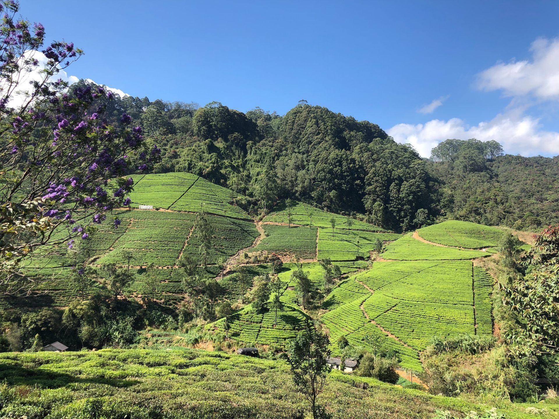 Nuwara, Eliya Road, Sri Lanka