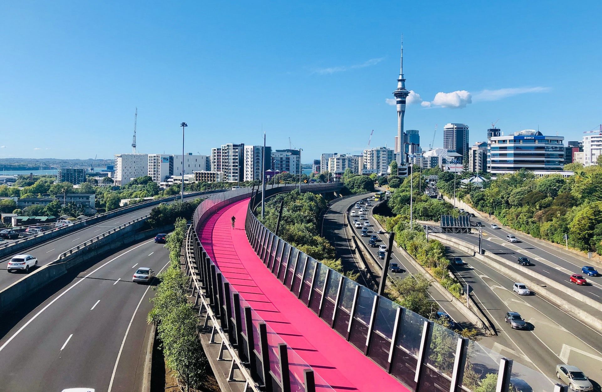 Auckland Highway, New Zealand