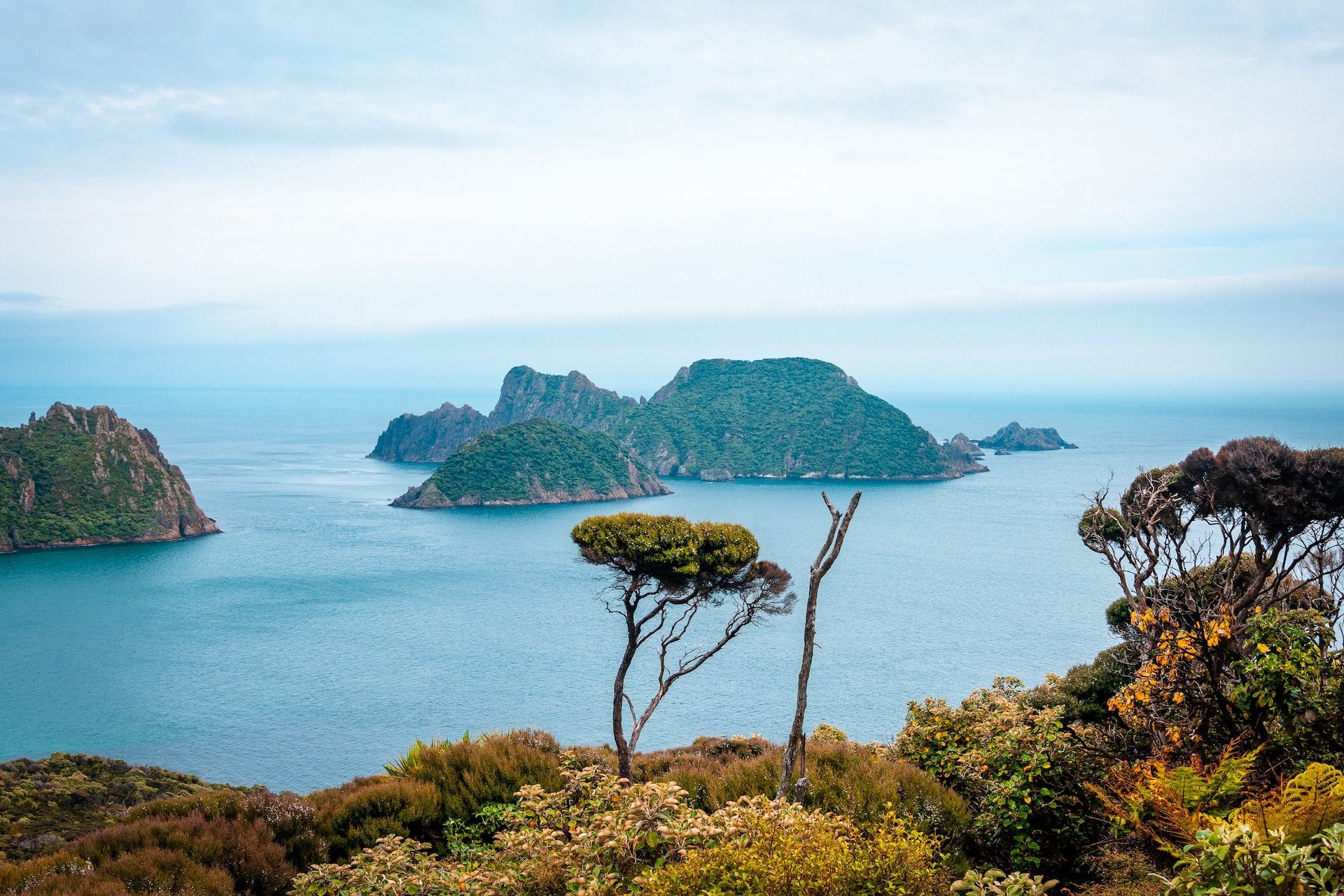 Stewart Island, New Zealand