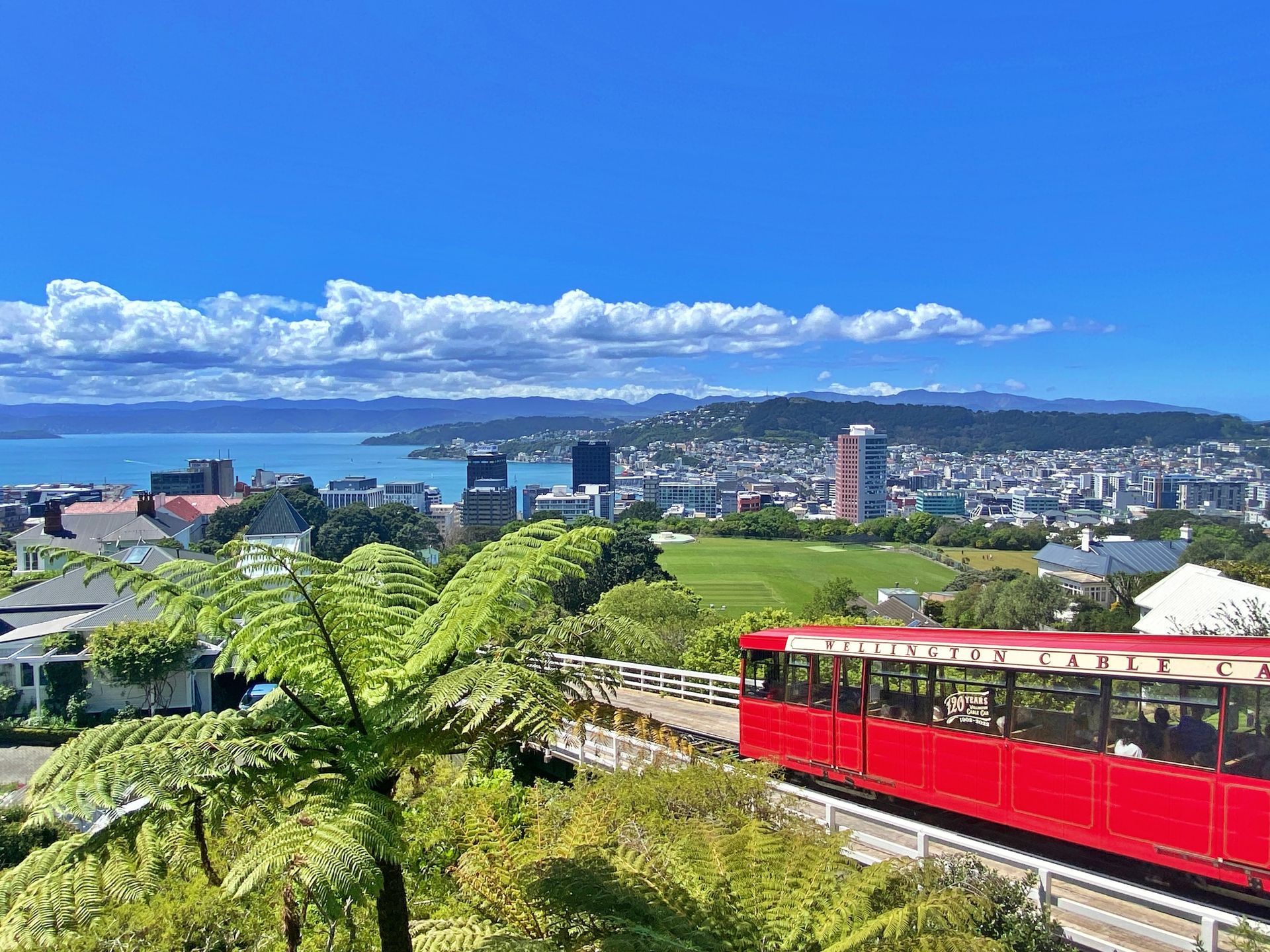 Botanic Gardens, Wellington, New Zealand