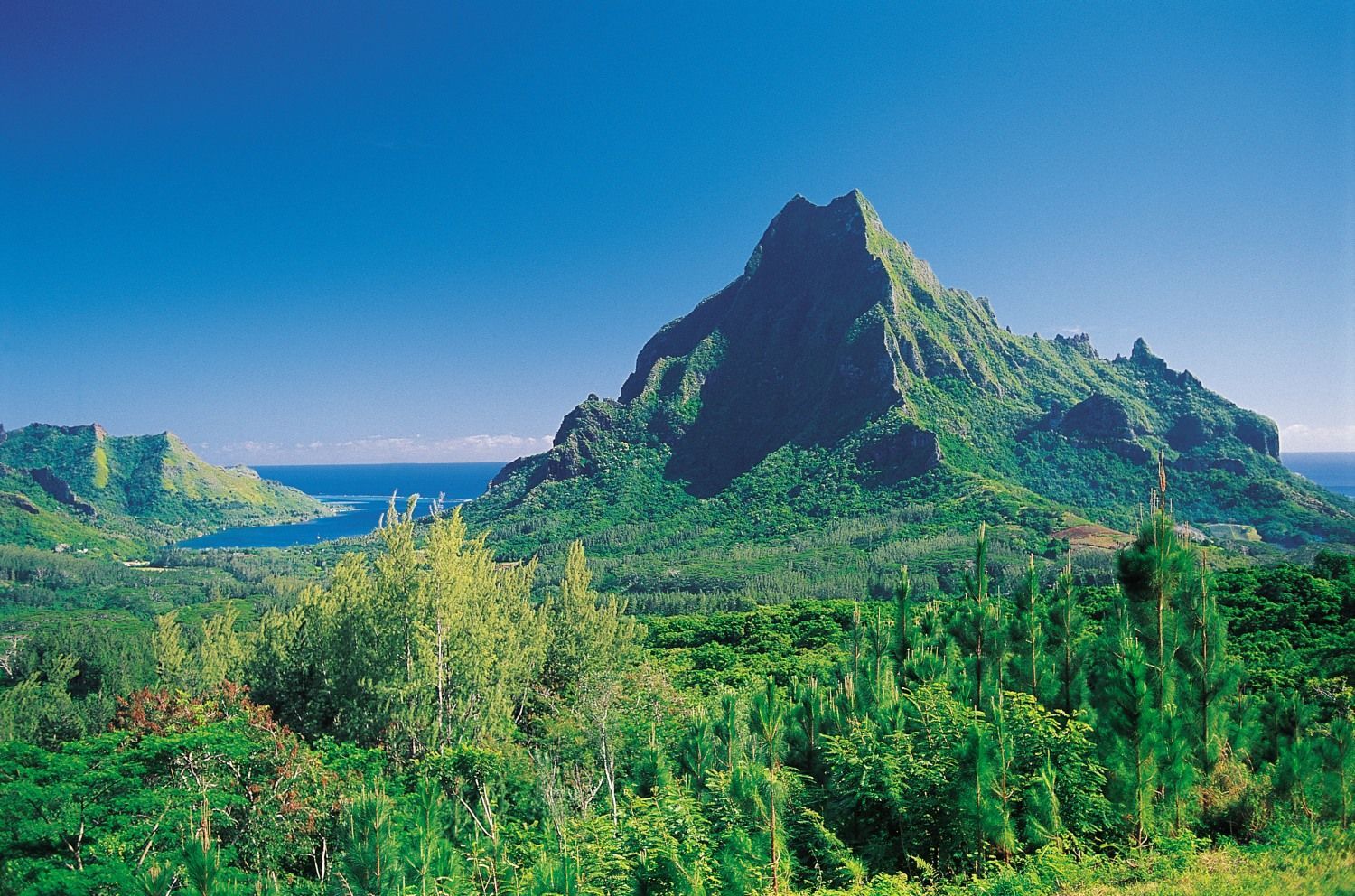 Windward Moorea, French Polynesia