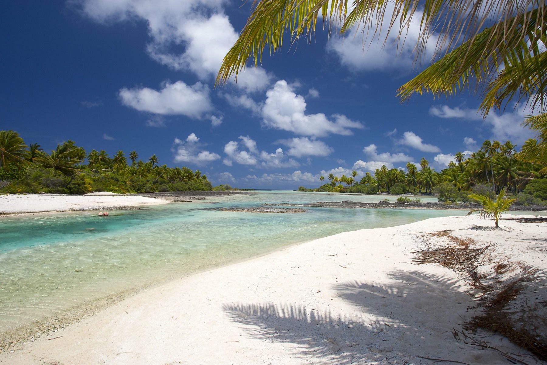Tikehau Beach, French Polynesia
