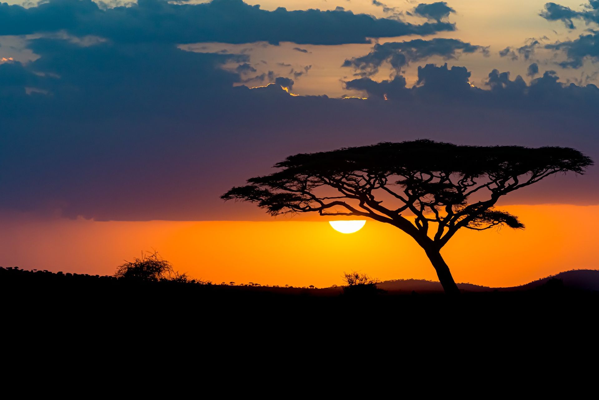 Savanna Sunset, South Africa
