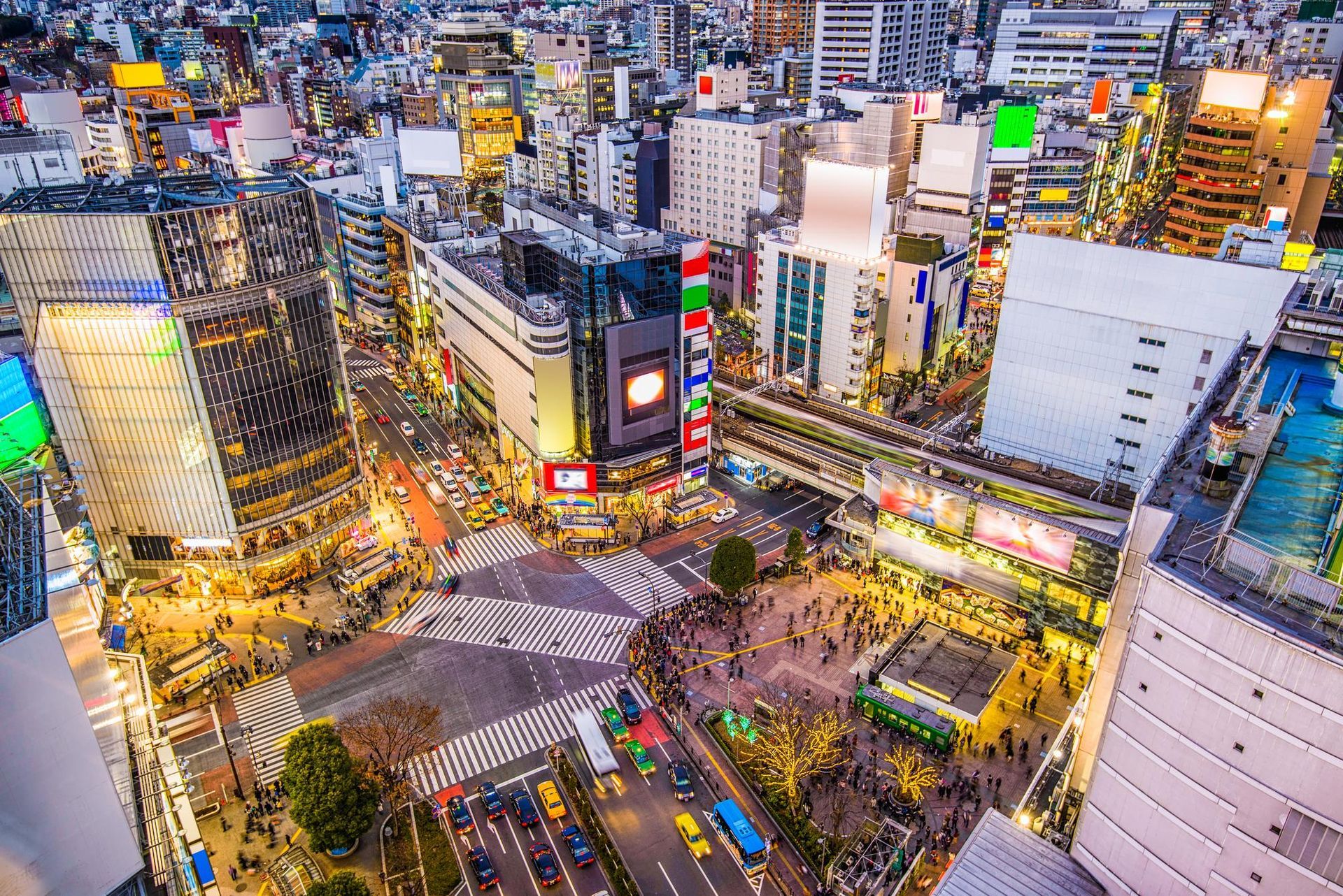 Shibuya Crosswalks, Tokyo