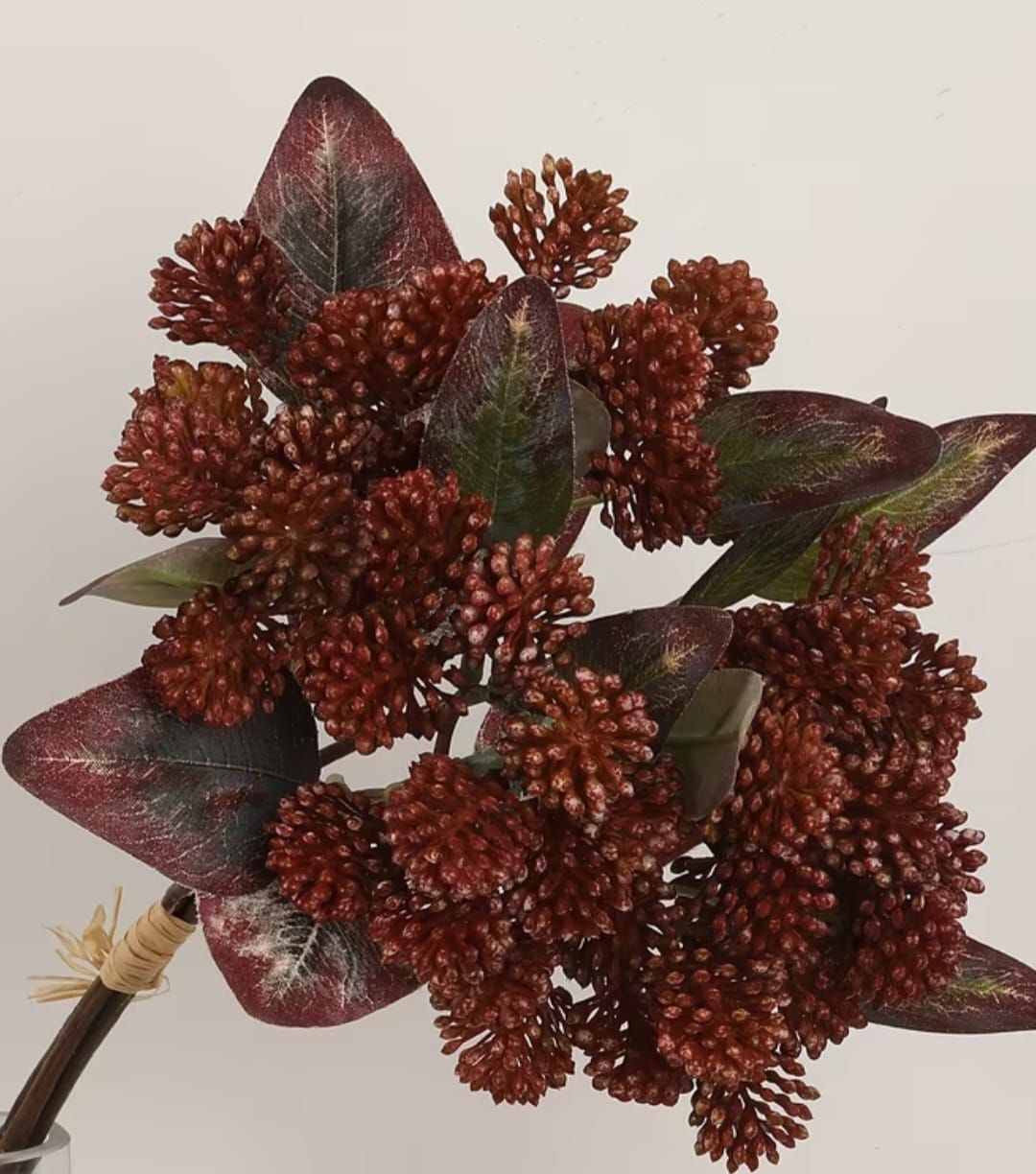Vara Otoño x 2