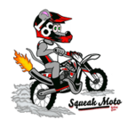 A cartoon of a cat riding a dirt bike.