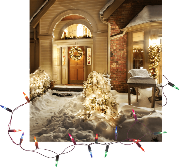 About Blinky's Christmas Lights About Blinky's Christmas Lights