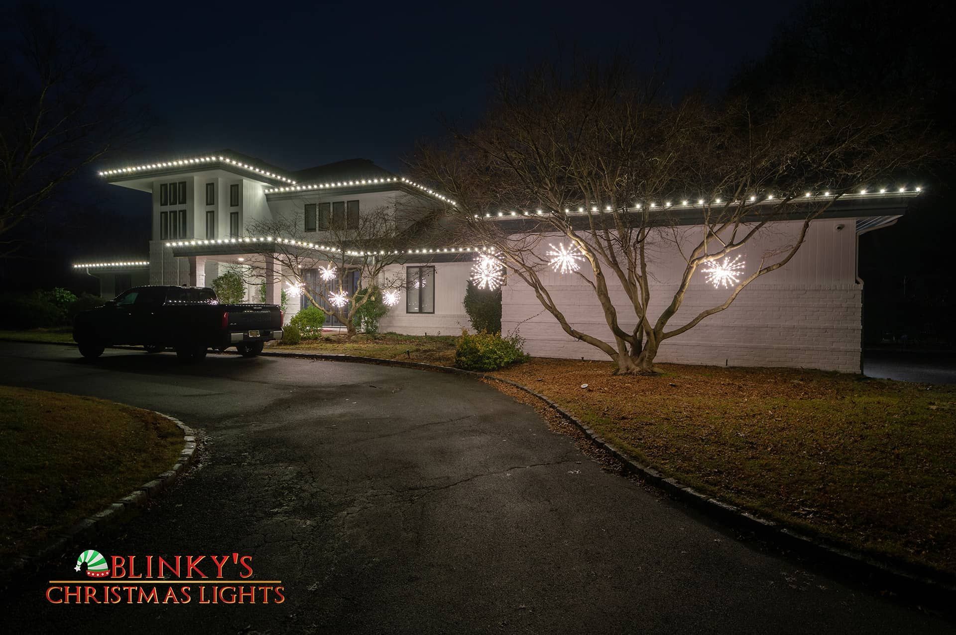 About Blinky's Christmas Lights About Blinky's Christmas Lights
