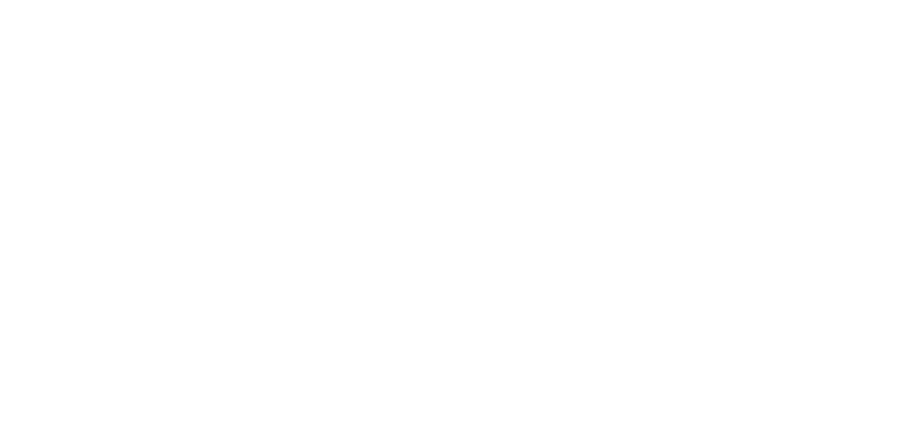 DNP Welding Logo