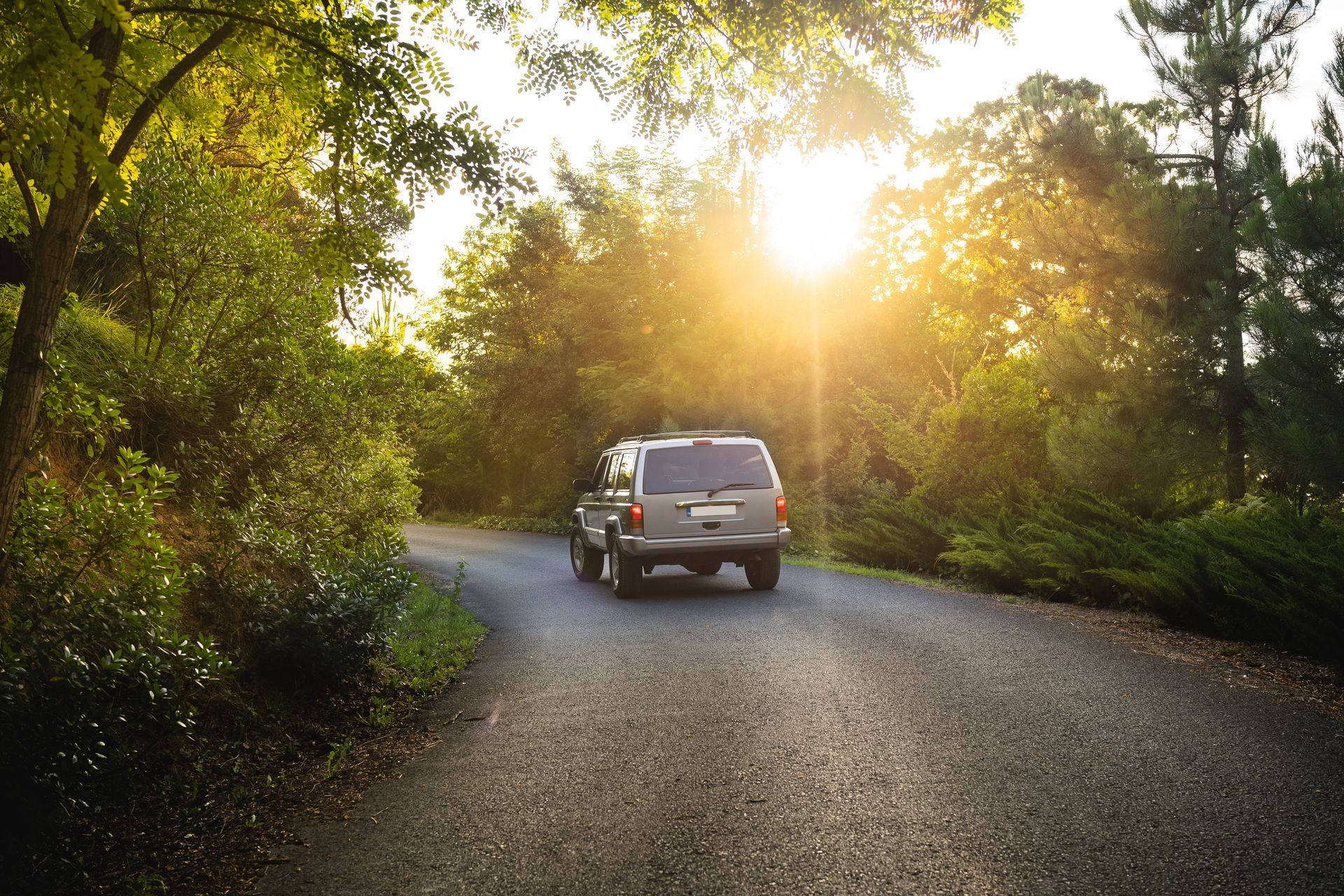 SUV on a winding road through a sunlit forest at sunset