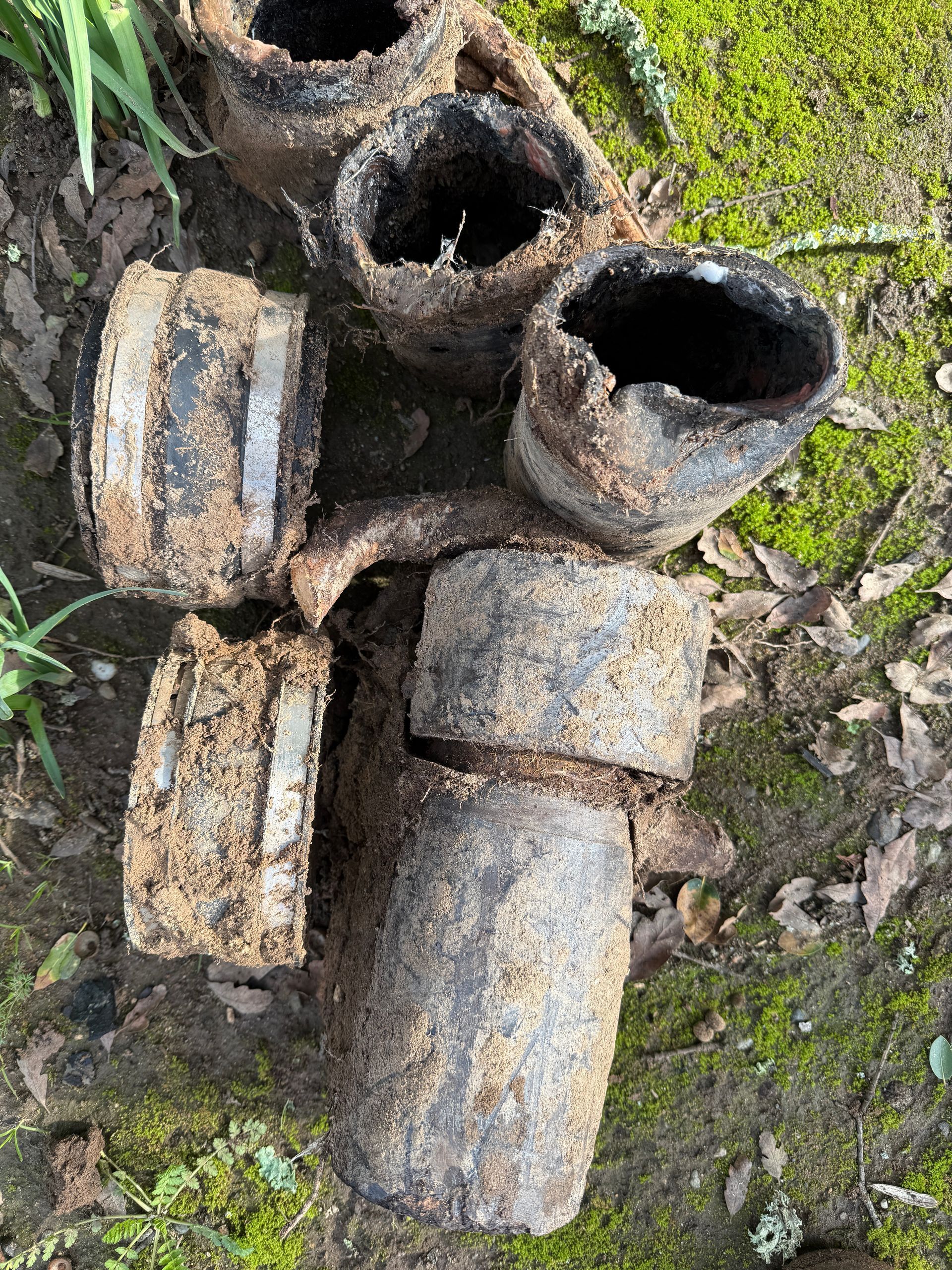 Rusty old metal cans and containers piled on mossy ground outdoors