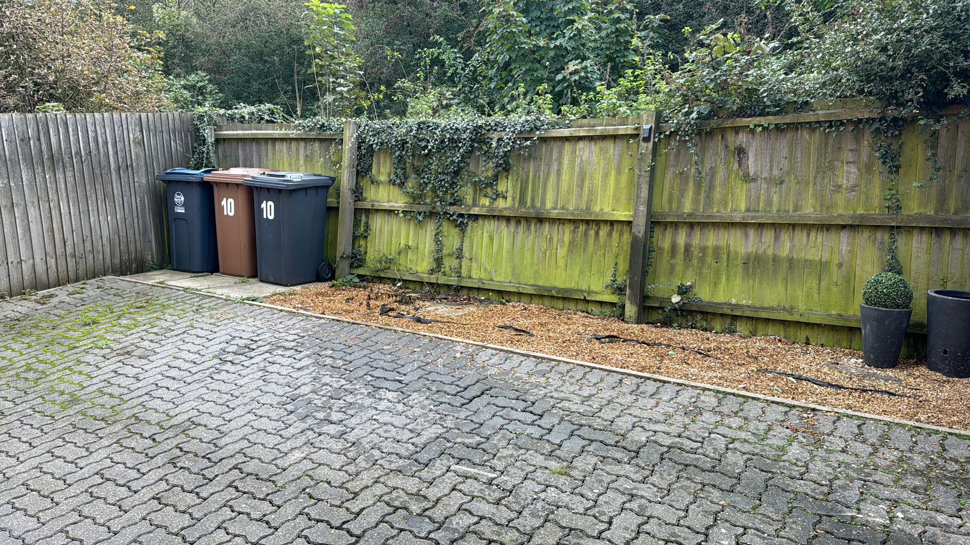 Three trash bins against a weathered wooden fence with ivy, on a brick paved area.