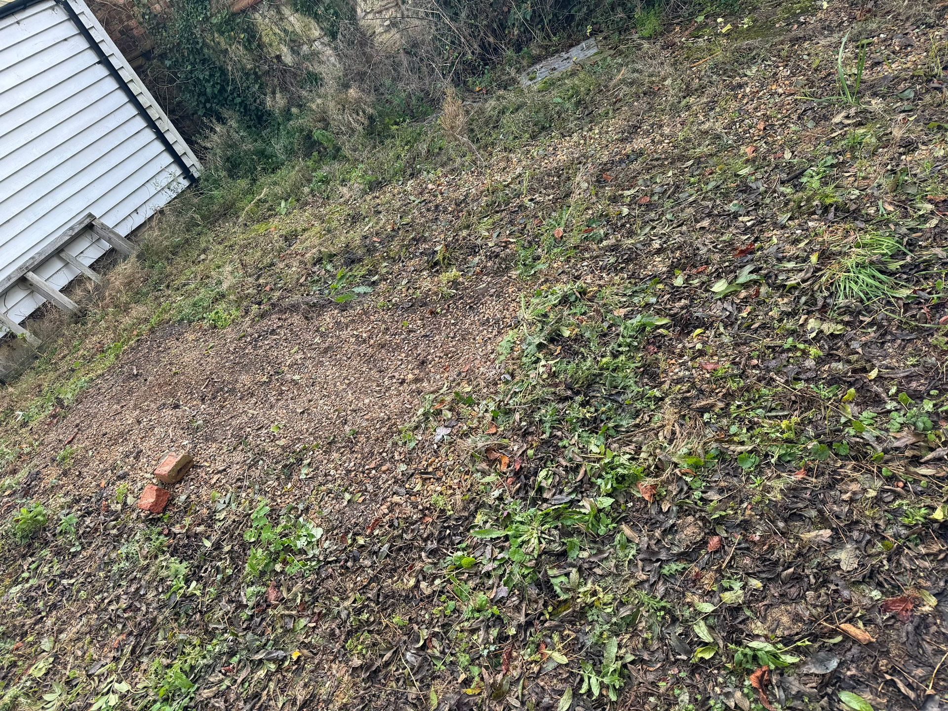 A sloped yard with scattered dead leaves, patches of green grass, and a brick.