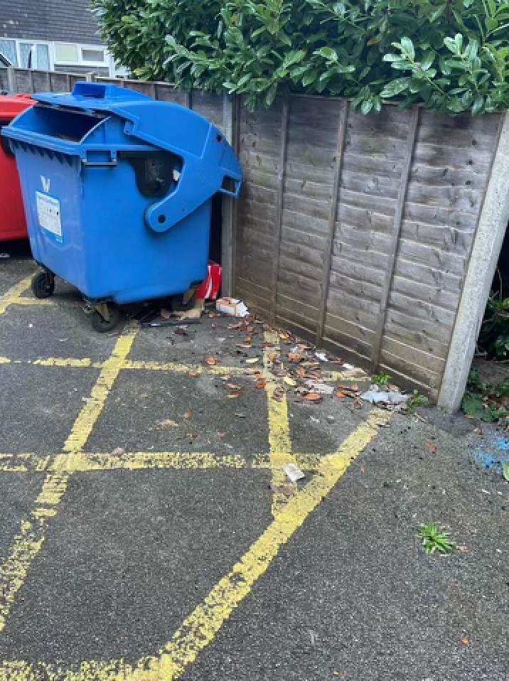 Blue trash bin overflowing with trash next to a wooden fence. Ground littered with debris.