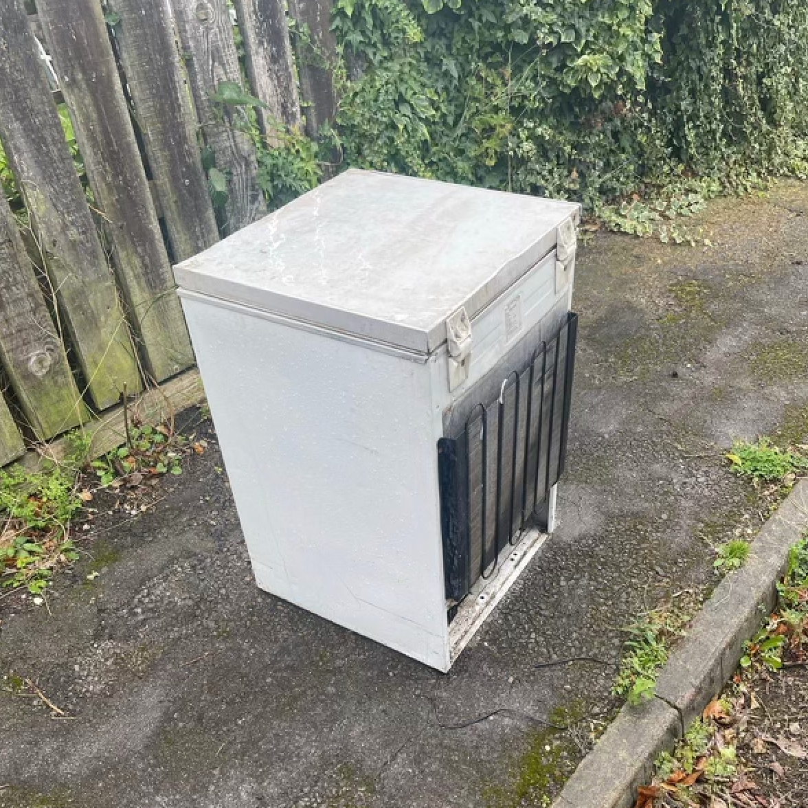 White appliance, possibly a freezer, on a concrete surface next to a wooden fence with foliage.