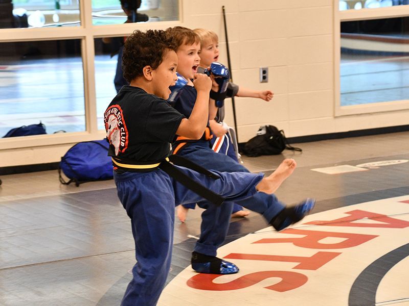 Children Practicing Martial Arts