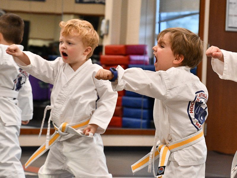 HAC Martial Arts Logos including Tigers, Dragons, and Kids' Kenpo