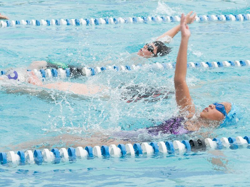 Competetitive Youth Swimmers Swimming in Pool