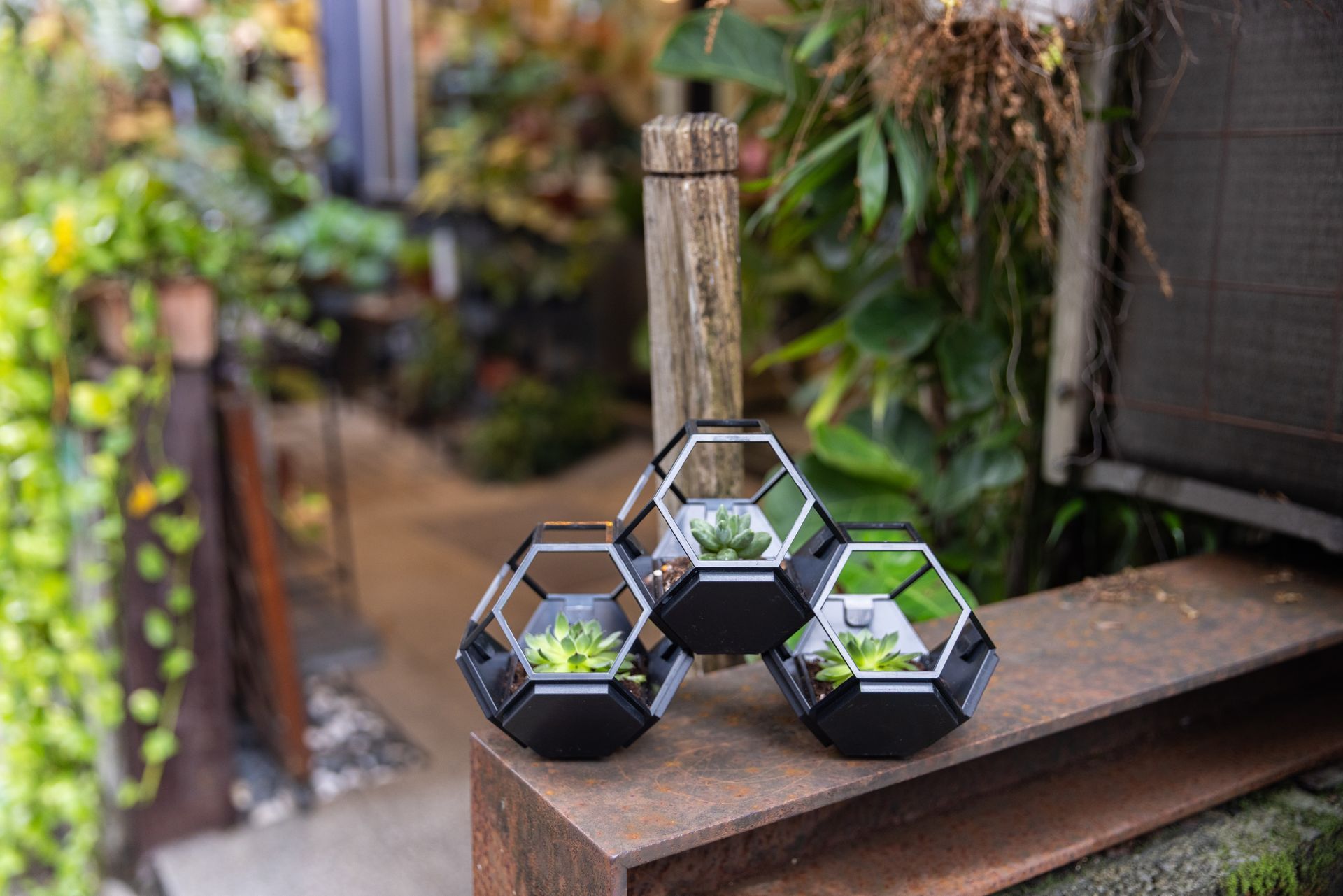 永續顧問公司推薦｜微碳石代永續顧問公司：專利永續產品「好植栽」組合式植栽單元座特寫