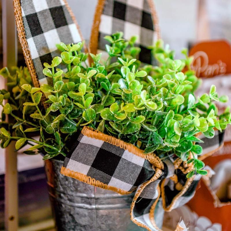 Potted green plant in a silver bucket with black-and-white plaid ribbon decor