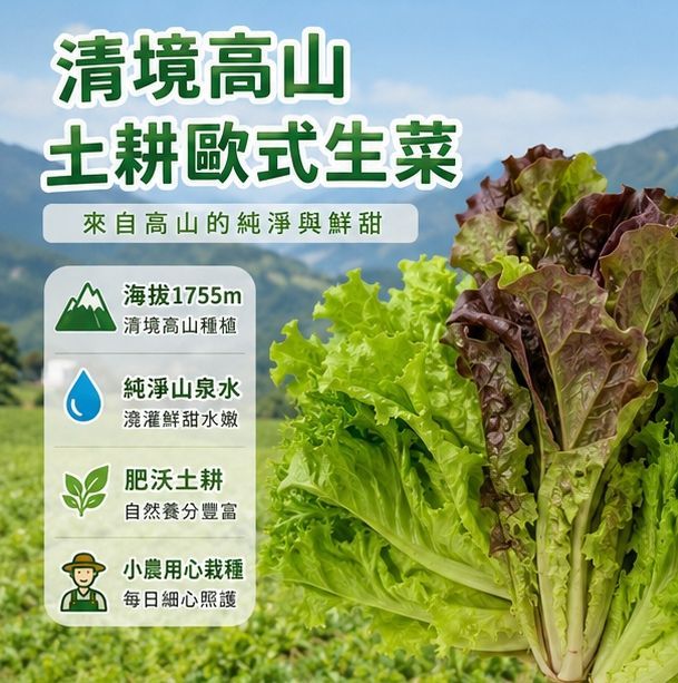 歐式生菜組-長期配送