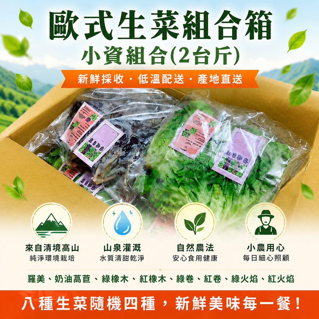 歐式生菜組-單次配送
