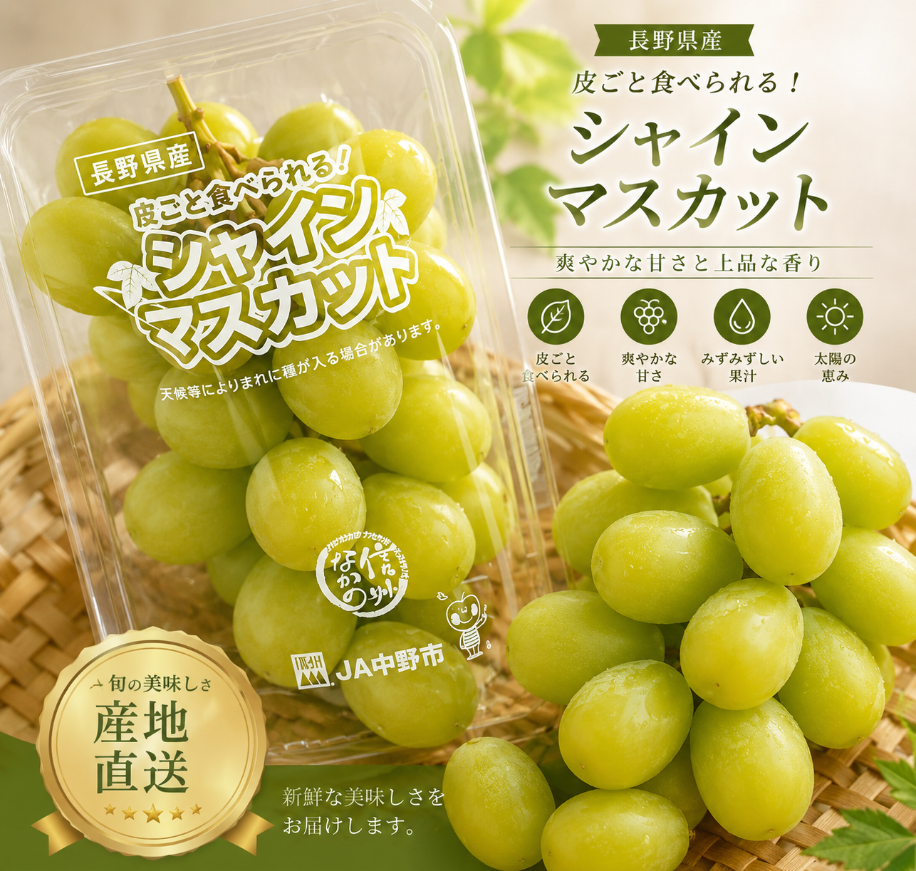 預購-日本進口麝香葡萄PC盒(1串/約300g~350g±10%含盒重)
