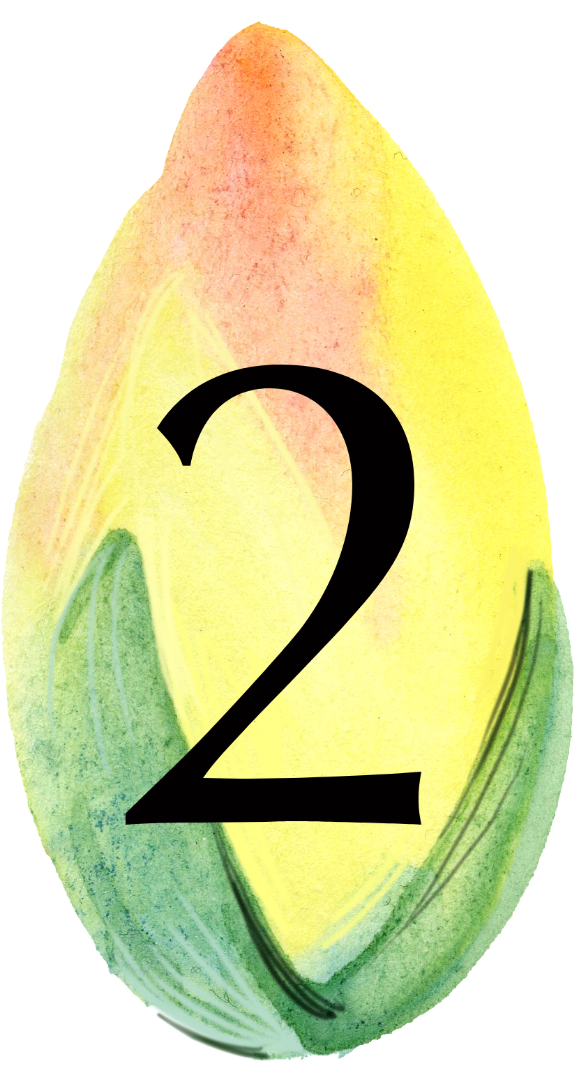 flower-icon