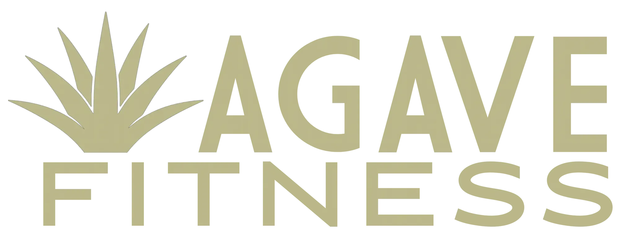 AGAVE FITNESS