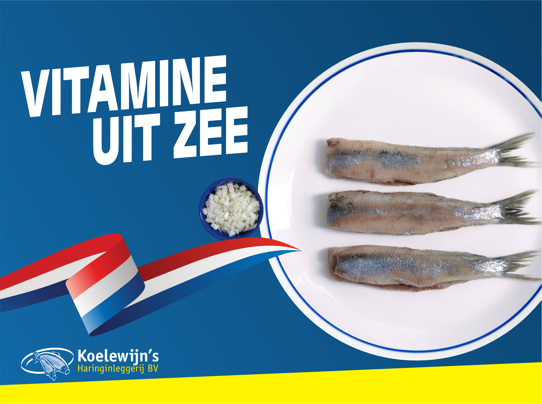 Hollandse Nieuwe 2026, Hollandse Nieuwe bestellen, haring groothandel, visgroothandel haring, nieuwe