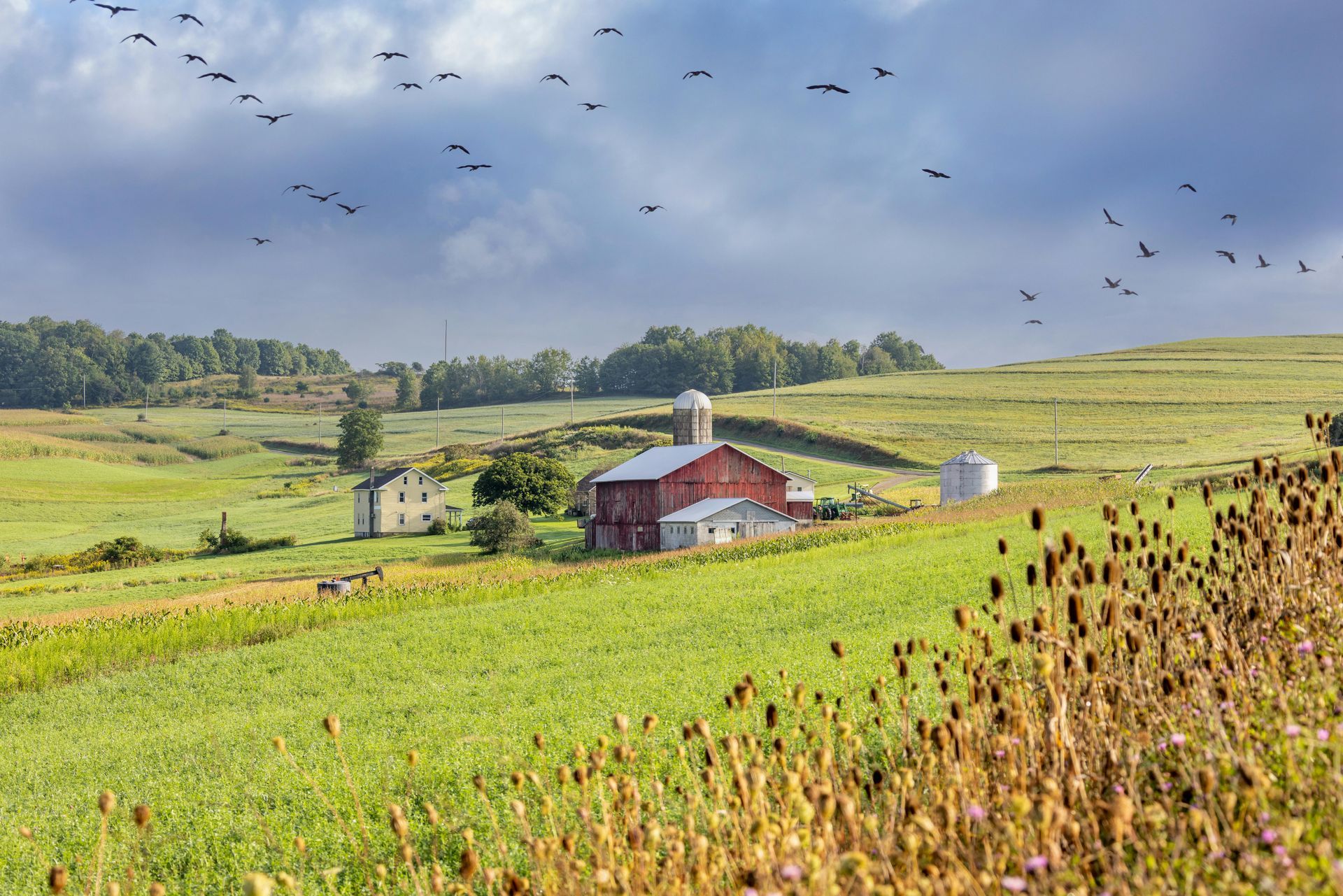 Red barn in a green field with birds flying overhead under a cloudy sky