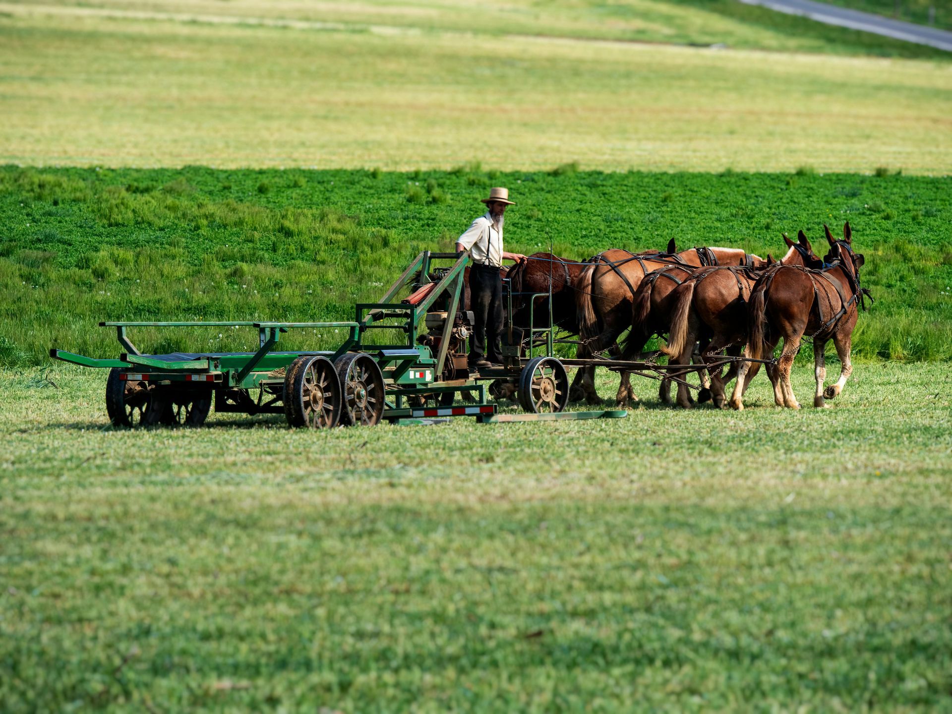 Amish Country & Lancaster Farms Tour from New York City and Outlet shopping