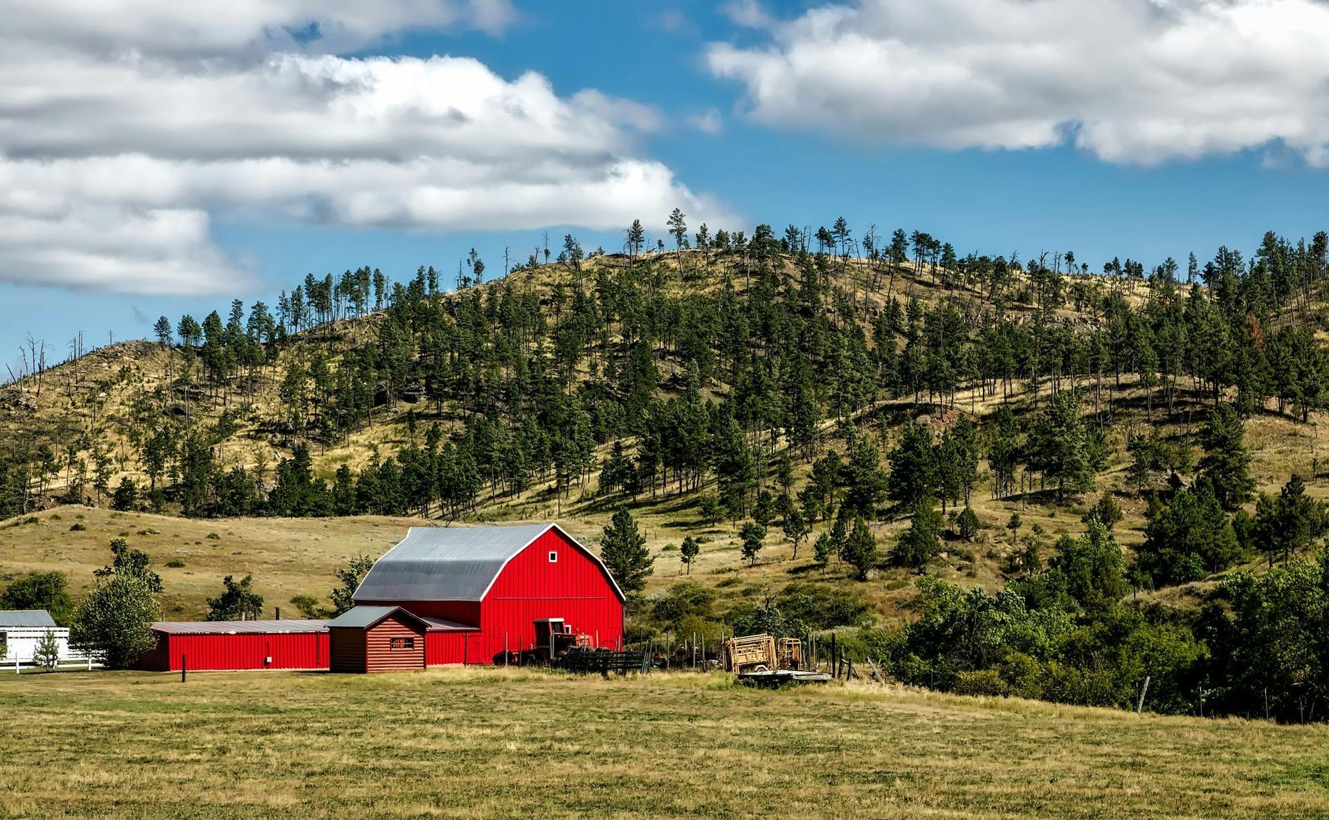 Red barn and outbuildings in a grassy field below a pine-covered hill under cloudy sky