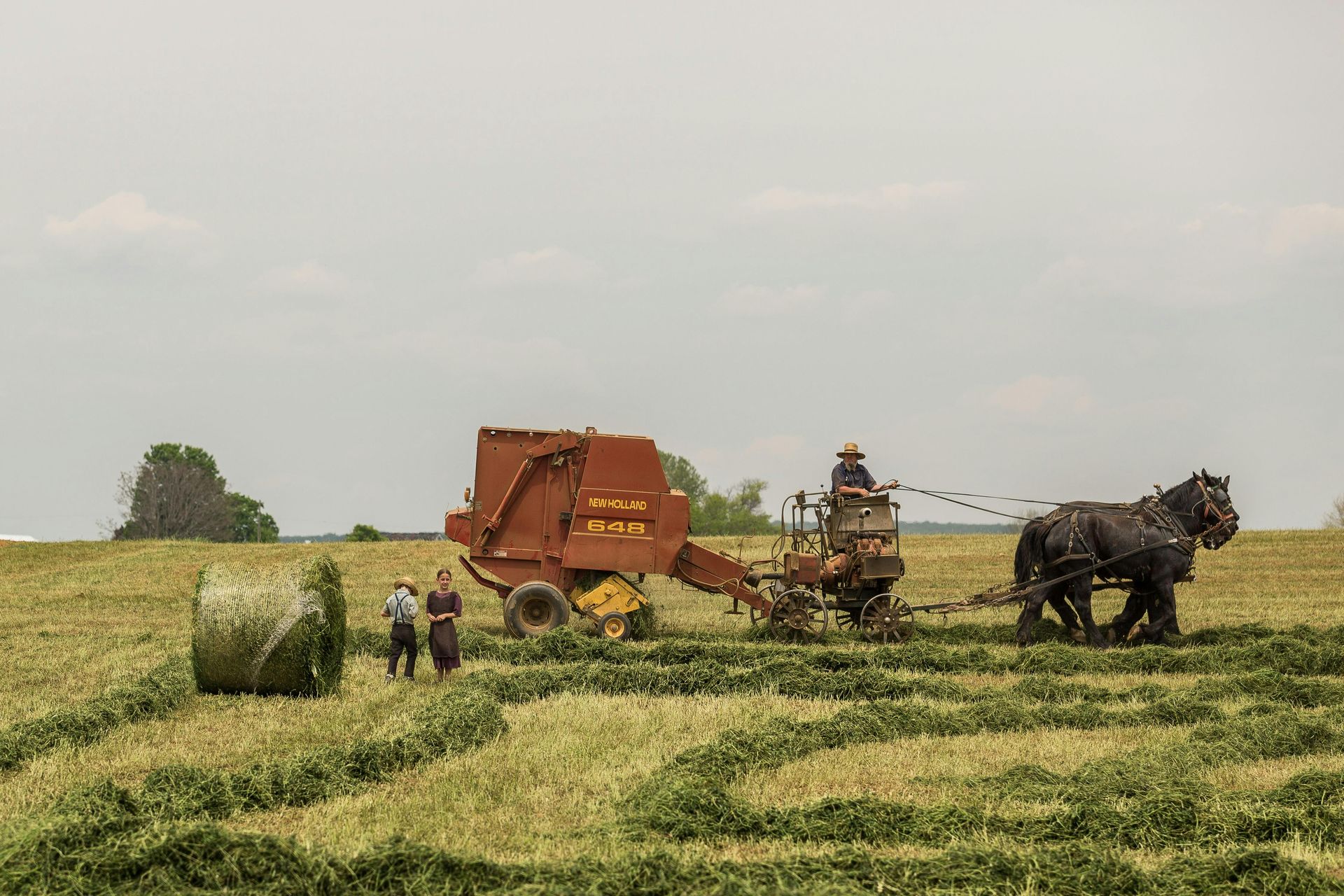 Farmers harvest a field with a red combine and oxen pulling a cart under a cloudy sky