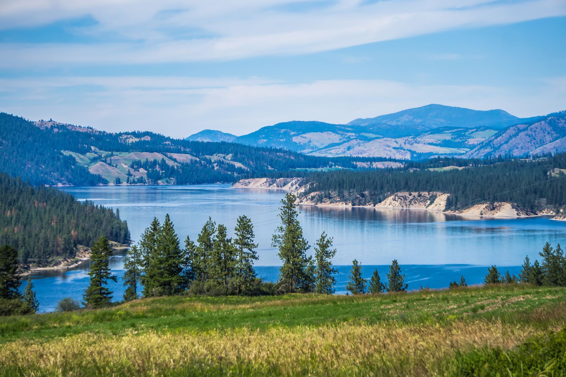 Blue lake with pine trees, grassy foreground, and snow-capped mountains under a clear sky