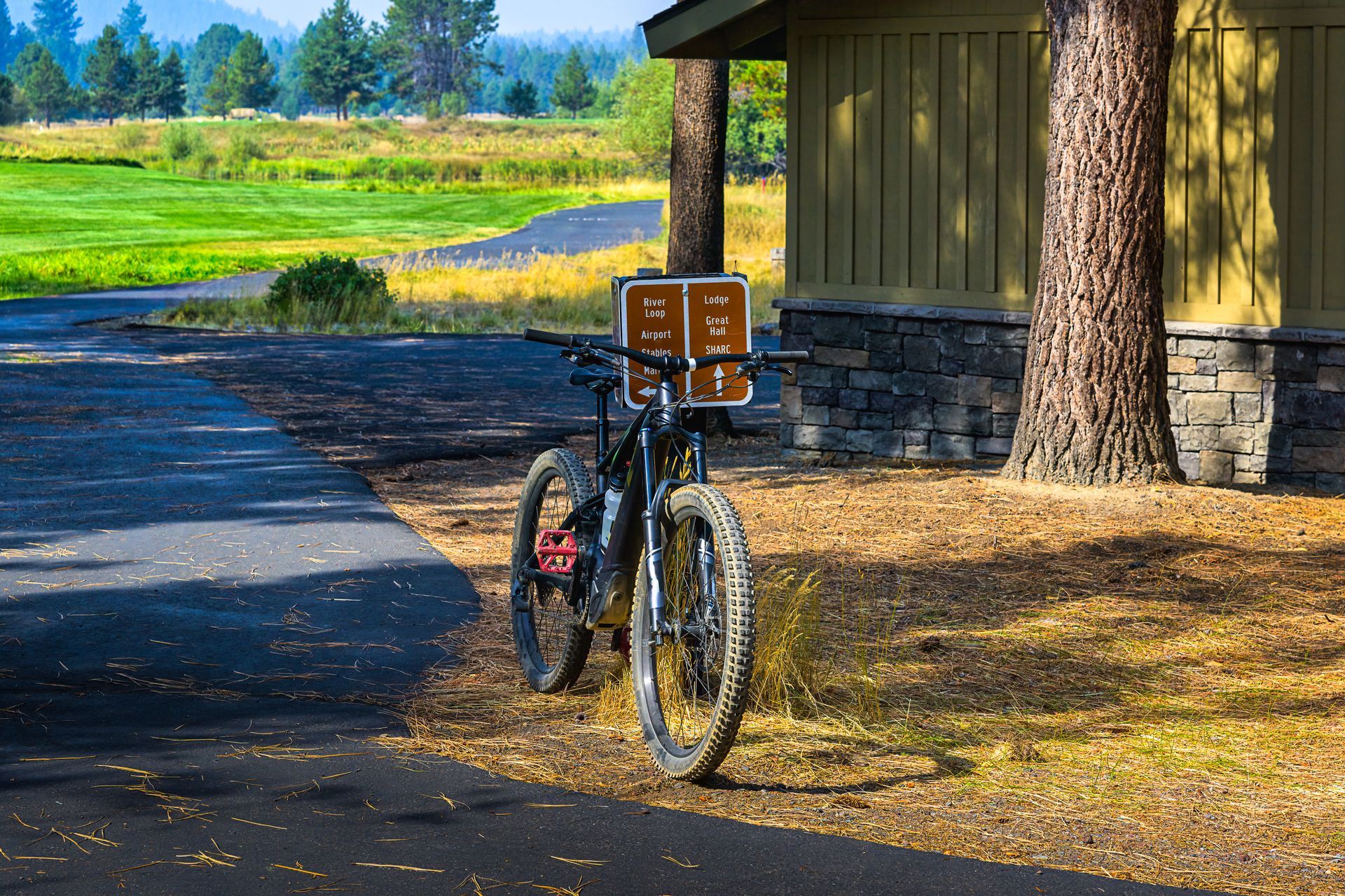 Bicycle parked by a tree beside a paved path near a building and grassy field on a sunny day