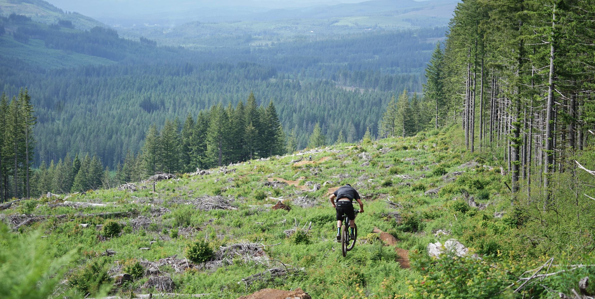 Mountain biker riding down a grassy slope with forested hills in the distance