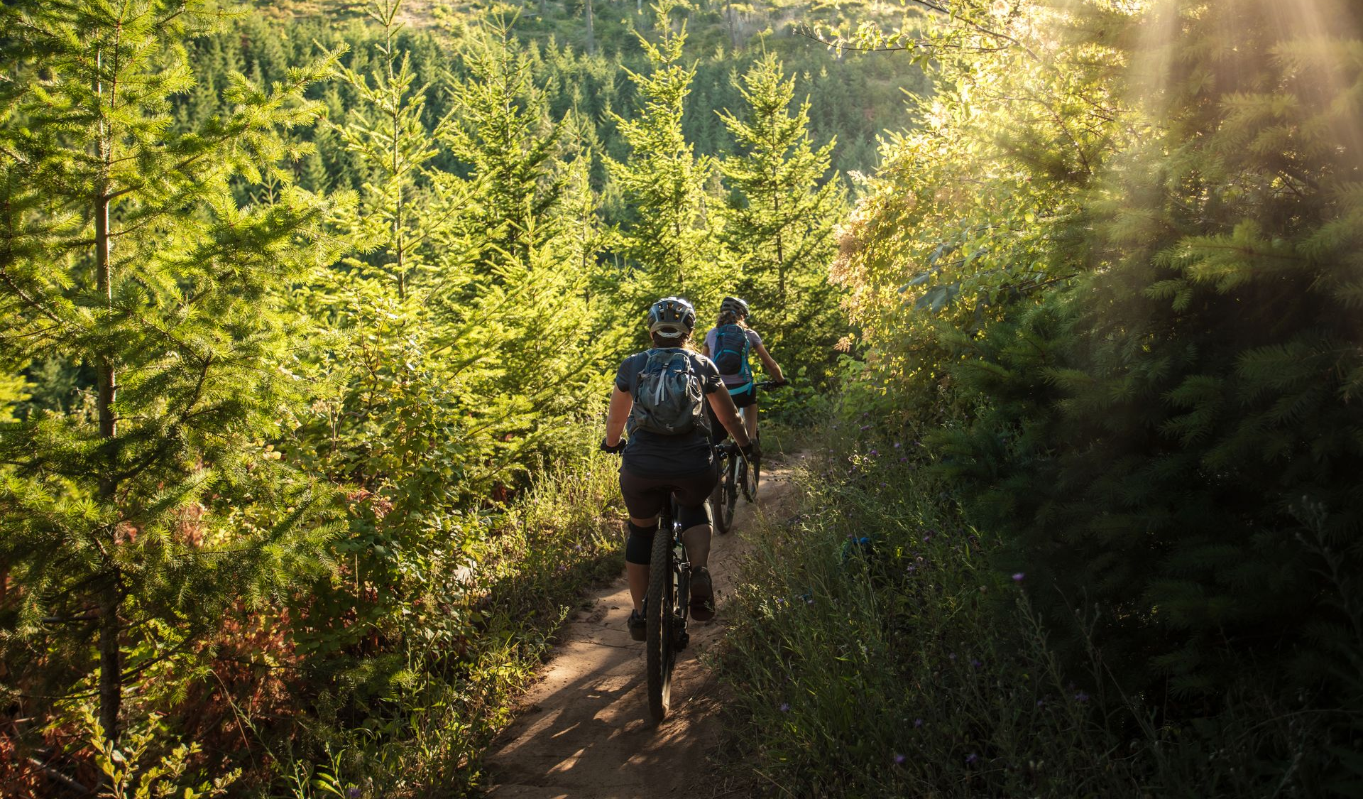 Two hikers with backpacks walking along a sunlit forest trail