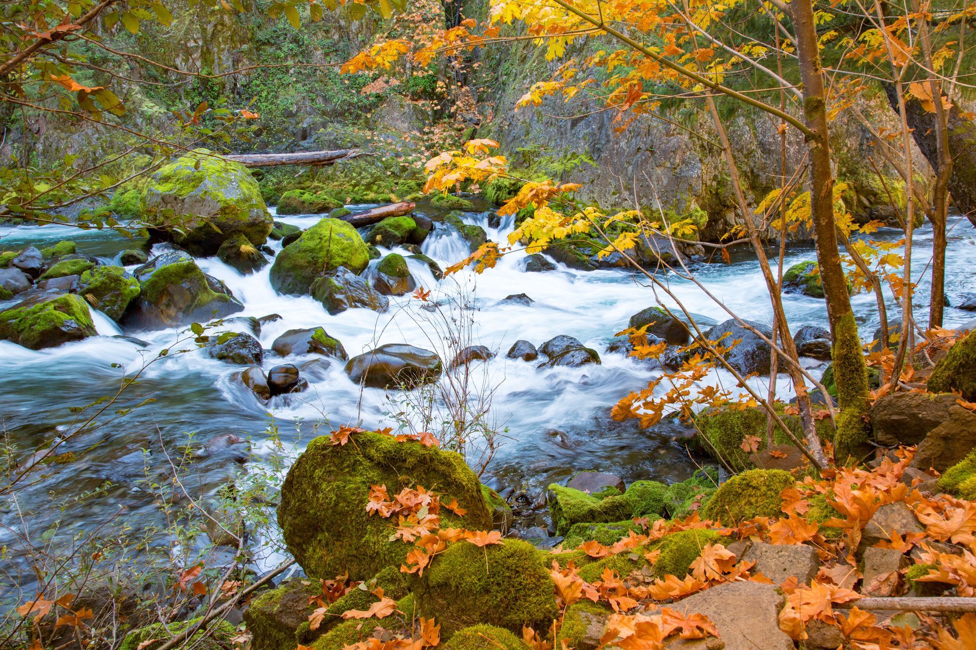 Autumn forest stream with rushing water, mossy rocks, and orange leaves