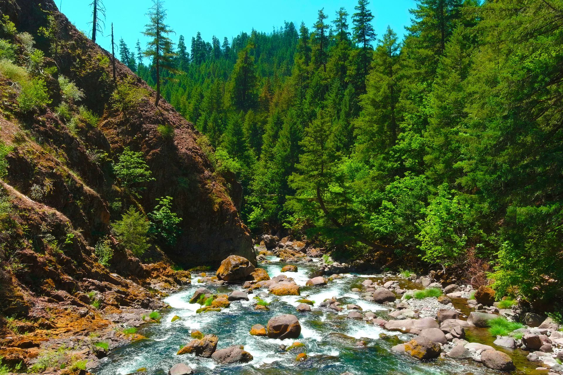 Mountain stream flowing through a rocky forest valley under bright blue sky
