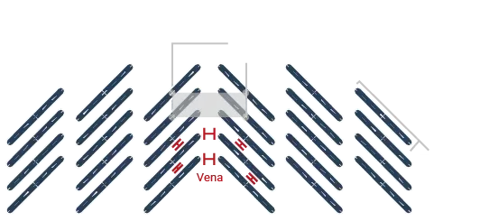 ACEROS PERFORADOS Y MALLAS SA DE CV