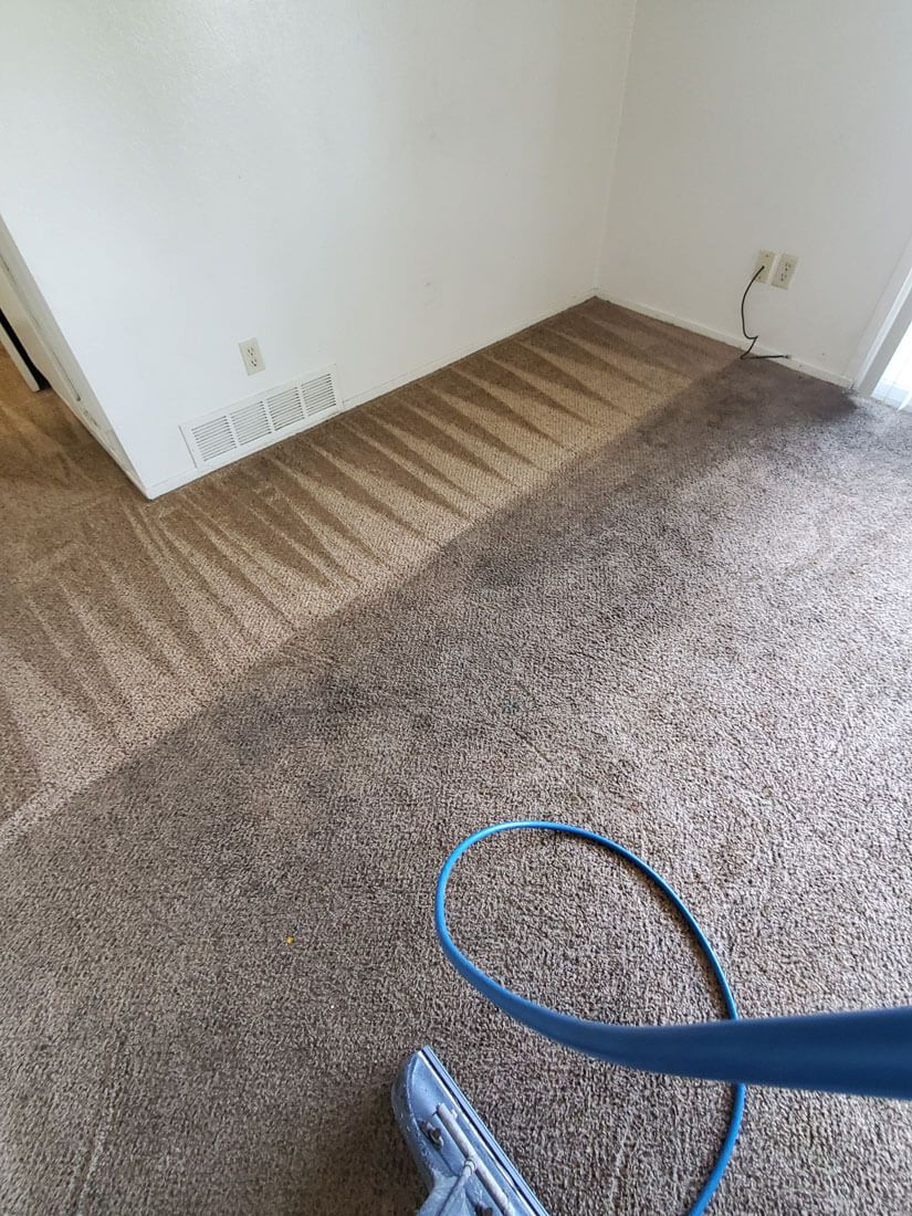 carpet cleaning fresno