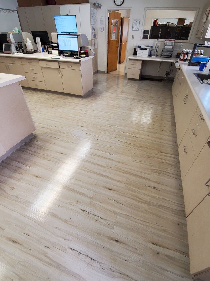 floor stripping in fresno2