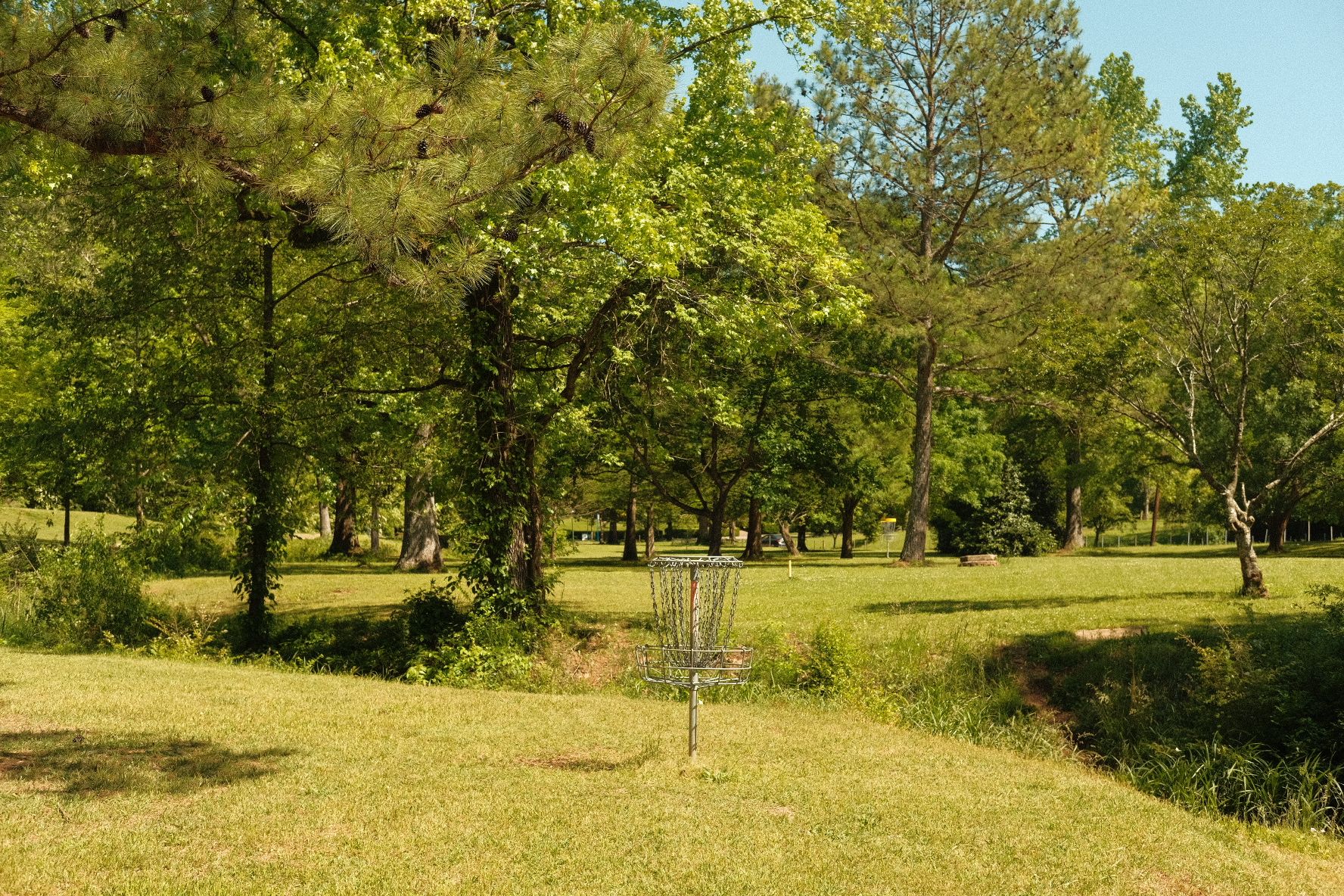 Southside/Glen Iris/5 Points H2 Real Estate